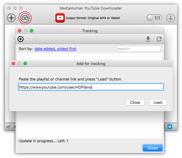 Paste the link into YouTube Downloader