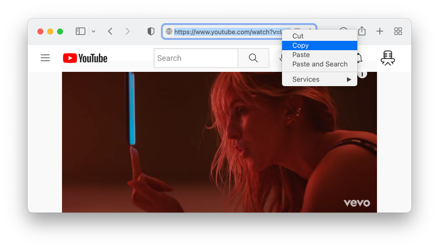 How To Download Youtube Playlist And Convert It To Mp3 At Once